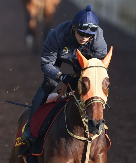 【毎日ベスト3】明神記者が選ぶヴィクトリアmの関西馬追い切りベスト3 毎日ベスト3 競馬コラム写真ニュース 日刊スポーツ