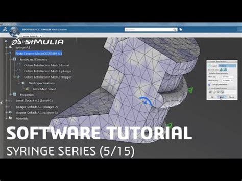 Simulia How To Tutorial For Dexperience Syringe Series Mesh