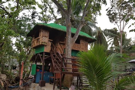 Tree House Nature Green Tree House Philippines