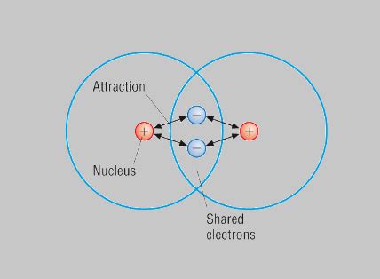 Covalent Bond - Definition, Types, Properties, and Examples