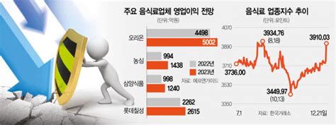 이와중에 52주 신고가사탄랠리서 생존한 종목은 서울경제