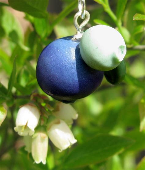 Blueberry Blueberries Blueberry Charm Clay Charm Polymer