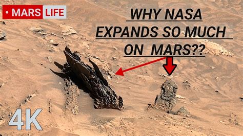 Nasa Mars Rover Sent Shocking Stunning Footage Of Mars Life