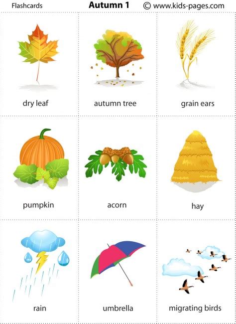 Autumn Flashcard