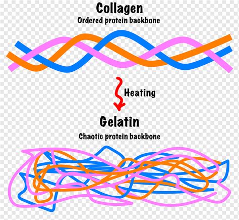 Agente espesante de gelatina pectina de colágeno textura de alimentos