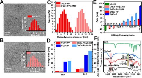 Characterization Of CQDs PP And CQDs PP PX459 Complexes TEM Images And