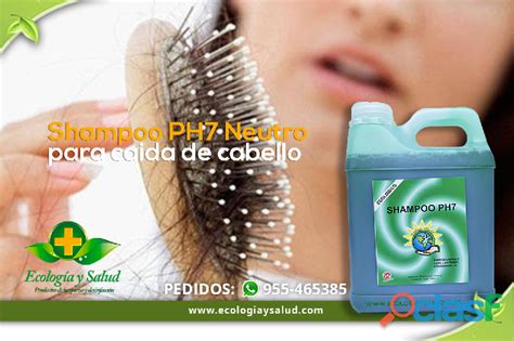 Shampoo Ecologico Natural Para Cabello Grasoso En Lima Clasf Servicios