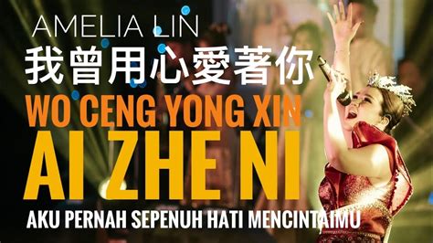 Wo Ceng Yong Xin Ai Zhe Ni 我曾用心爱着你【aku Pernah Mencintaimu Sepenuh Hati