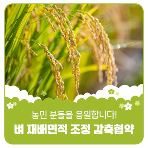 농민 분들을 응원합니다 벼 재배면적 조정 감축협약 경기도 평택시 웰로