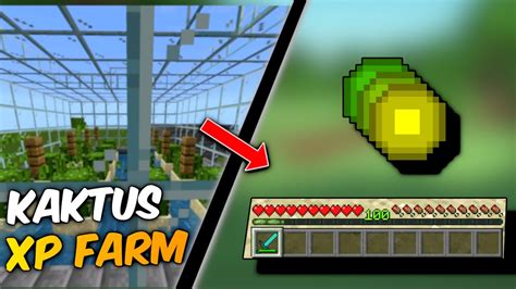 Einfache Kaktus Bambus Xp Farm Minecraft Bedrock Youtube