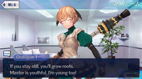 【fgo】gareth Lancer Dialogue Lines My Room Translation「english Sub