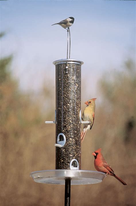 Seed Tube Bird Feeder - Wild Bird Feeder and Accessory Store