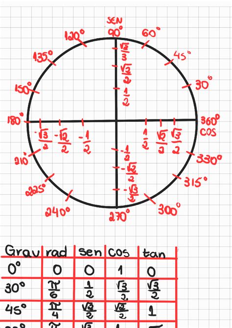 SOLUTION Ciclo Trigonom Trico 220123 173312 Studypool