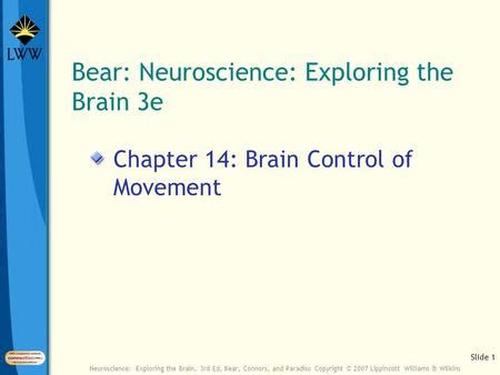 Introduction To Biological Psychology Central Control Of Movement