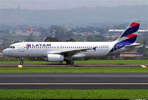 Photos Airbus A320 233 Aircraft Pictures Flight Simul - vrogue.co