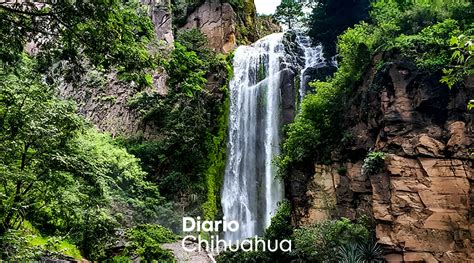 ¿qué Hacer En Kokoyome Un Pequeño Paraíso En Chihuahua