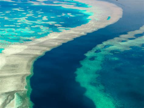 Glass Window Bridge Eleuthera Harbour Island In The Bahamas Artofit