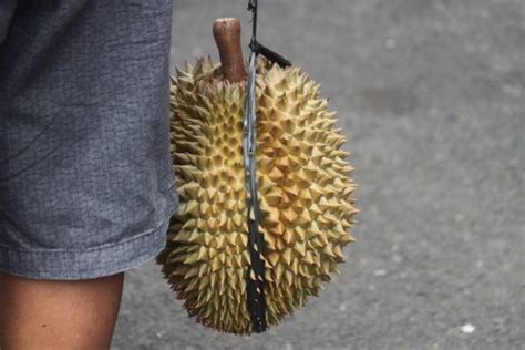 Best Durian Stalls Singapore 19 Places To Satisfy Cravings 2024