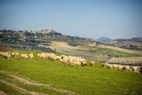 Unmissable Things To Do In Pienza Italy