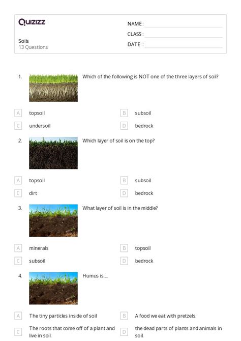 50 Soils Worksheets On Quizizz Free And Printable