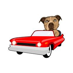 Car Cartoon Dog Driving Vector Images (over 500)