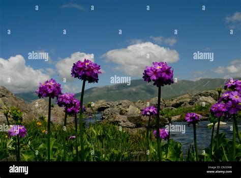 Turkey Scenery And Nature Stock Photo Alamy