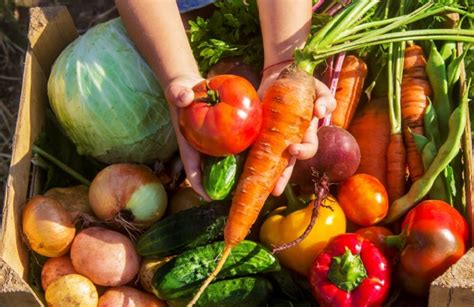 Los M Todos Infalibles Para Conservar La Fruta Y Verdura En La Nevera