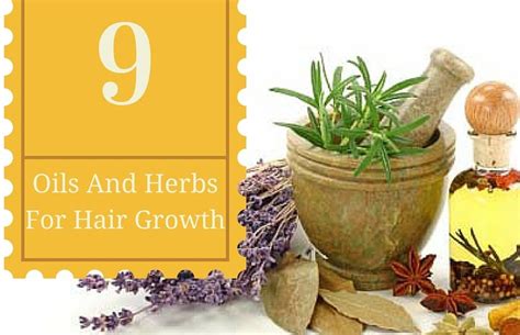 9 Great Herbs And Oils That Prevent Hair Loss And Promote Hair Growth