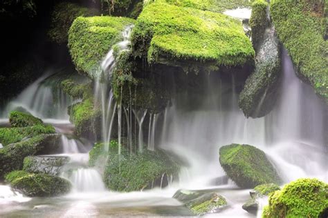 Le Meraviglie Naturali Della Campania Oasi E Parchi Da Scoprire Casa