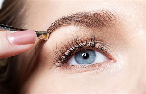 Pasos Y Tips Para Depilar Tus Cejas De Forma Correcta Nexofin