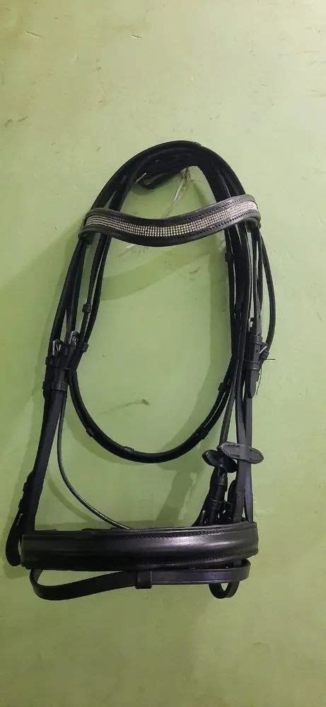 Black 28mm Leather Horse Bridle 25inch At Rs 1200 In Kanpur Id