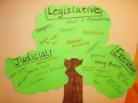 Tree 3 Branches Of Government