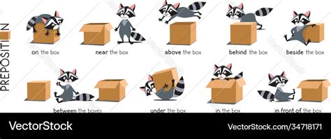 Preposition Place Set Raccoon And Box Royalty Free Vector