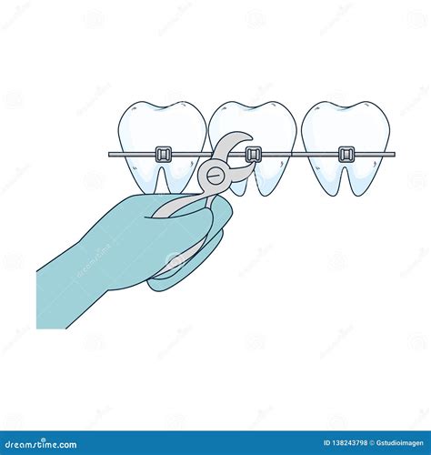 Orthodontist Human Tooth Anatomy Vector Infographics With Teeth