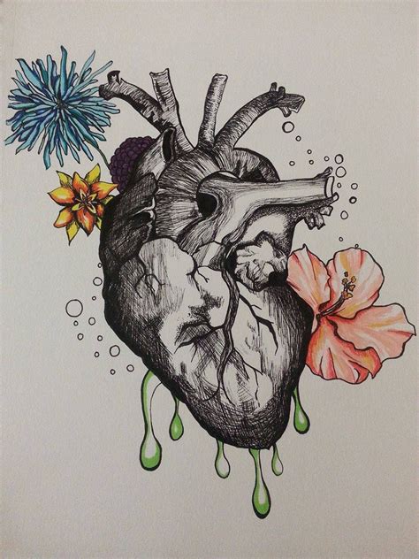 Anatomical Heart Illustration Original Ink Art Print 9X12 Size Colorful ...