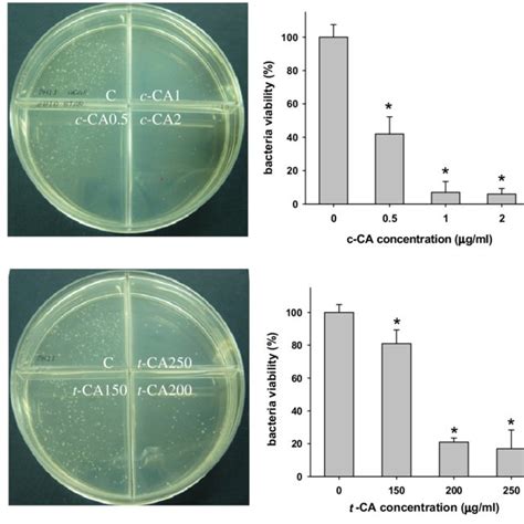 Concentration Dependent Inhibitory Effects Of A Cis Cinnamic Acid