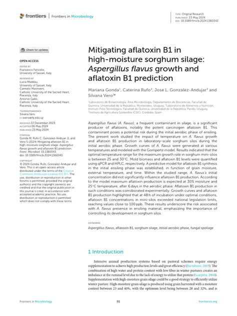 Mitigating Aflatoxin B1 In High Moisture Sorghum S Pdf High