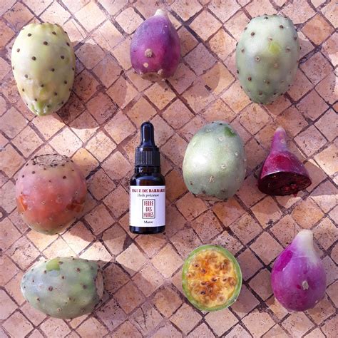 Prickly Pear Seed Oil 55ml - BeautiesNest - Natural & Organic Moroccan ...