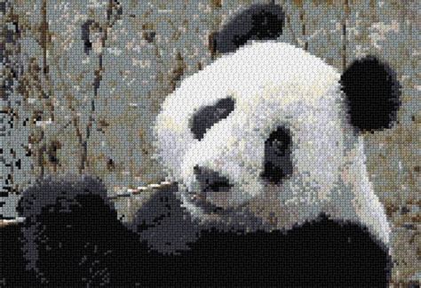 Panda Cross Stitch Designs