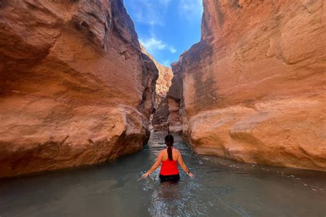 Havasu Falls Hike Havasupai Arizona Trail Guide Go Wander Wild