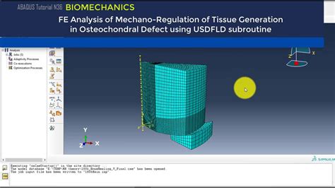 Abaqus Tutorial Fe Analysis Of Bone Tissue Generation Using Usdfld