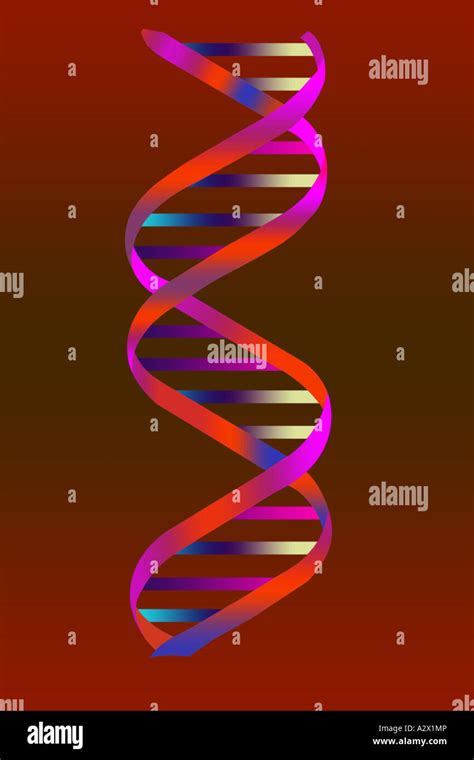 Deoxyribonucleic Acid DNA Double Helix Scientific Illustration Stock