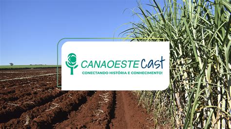 Canaoeste lança podcast para produtores de cana de açúcar Canaoeste