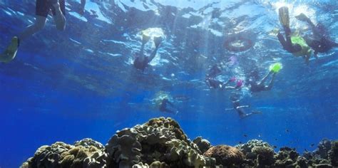 Green Island Reef Cruise Reef Rocket Cairns | Everything Australia