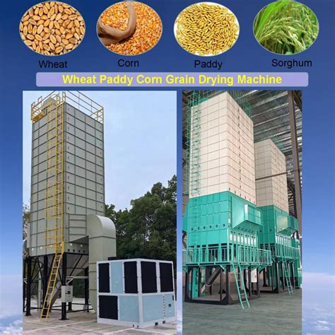 Plc Control Paddy Grain Dryer For Maize Paddy Wheat Drying China