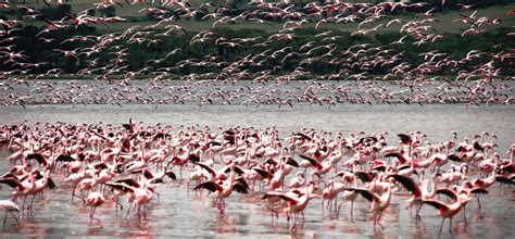 Etosha National Park - Wild Times Safaris