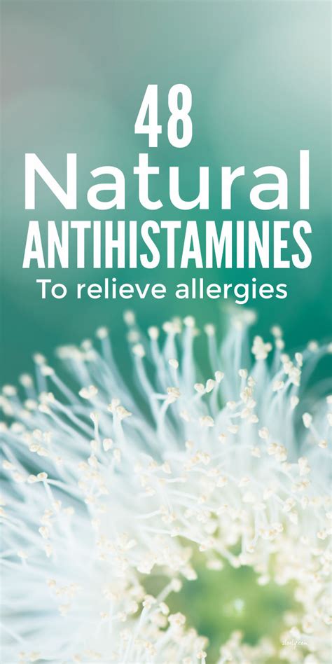 Natural Antihistamines For Allergy Relief