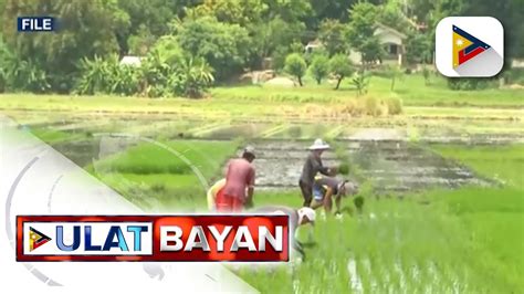 Panukalang Magpapalakas Sa Batas Vs Agri Smuggling Iniakyat Na Sa