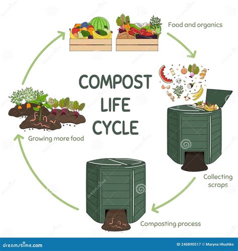 Step By Step Composting Process Diagram Composting Process