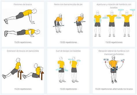 Ejercicios De Tren Superior Con Pesas OFF 72